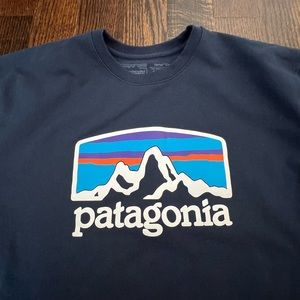 Men’s Large Patagonia Crew Neck